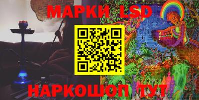 крисы Кингисепп