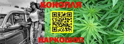 крисы Кингисепп
