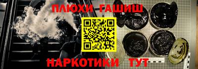 крисы Кингисепп