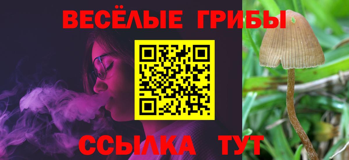 Галлюциногенные грибы GOLDEN TEACHER  Вход с VPN  Кудымкар 